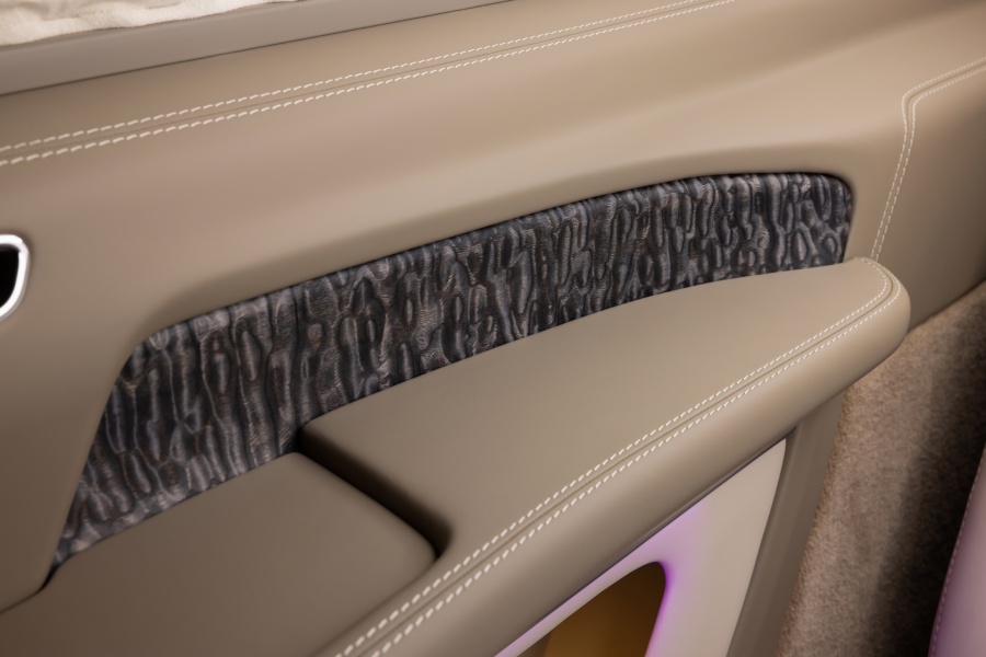 Тюнинг салона V-Business Jet. Фото 2