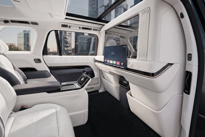 V-VIP